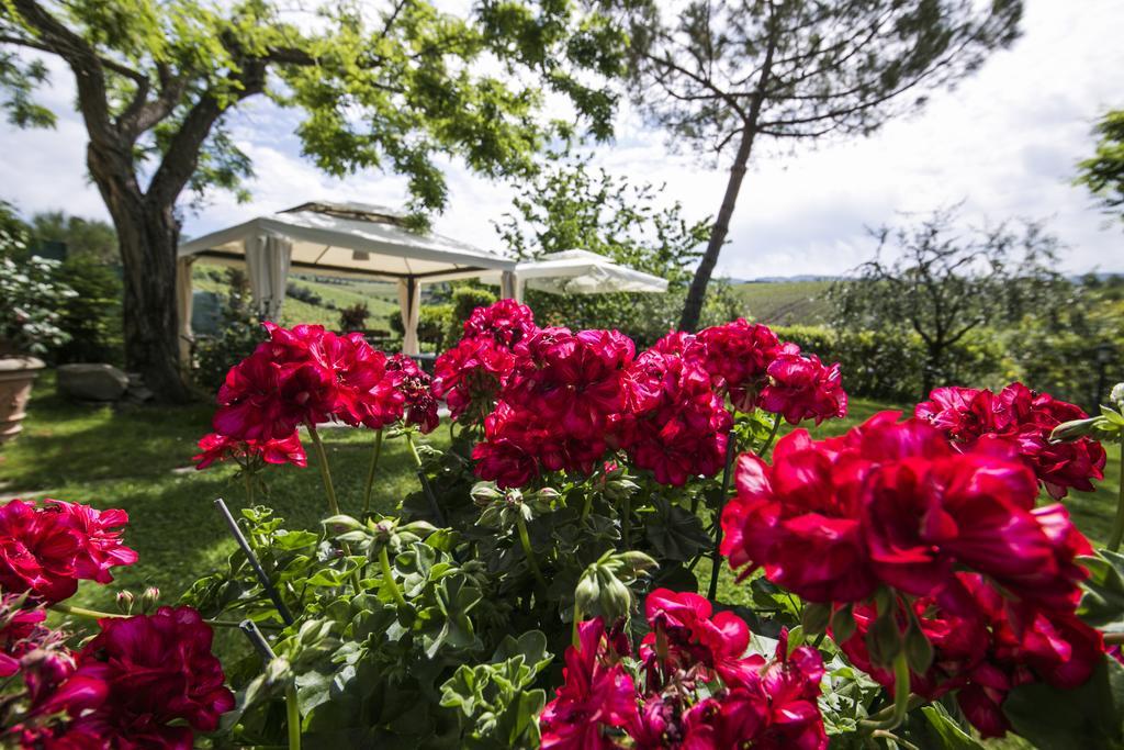 Bed and Breakfast Casale Le Masse Greve in Chianti Exterior foto